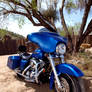 Blue Suede Harley