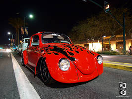 Hot Beetle Nights