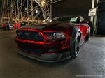 Not Your Mothers Mustang by Swanee3