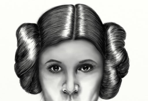 WIP Princess Leia