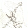 hawkgirl