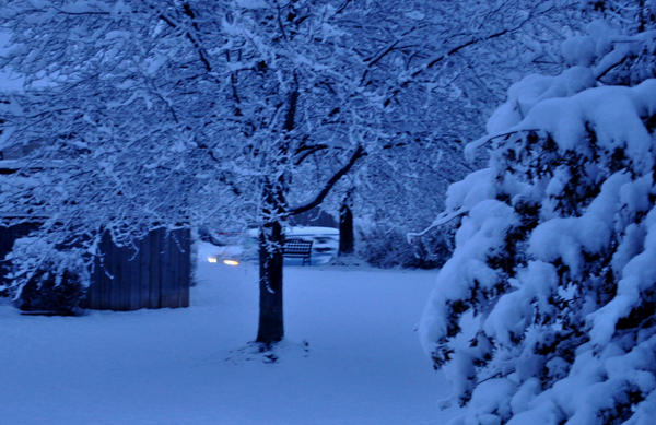 Snow Bench