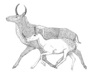 Ancient fantasy ungulates