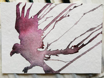 Watercolor Bird 