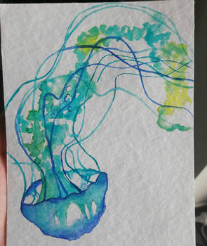 Watercolor jellyfish