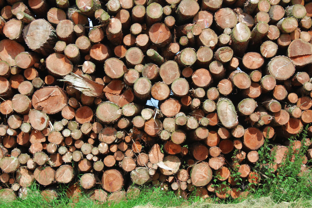 Logged by ajevanshull on DeviantArt