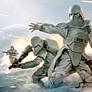 Imperial Military the Star Wars snowtrooper