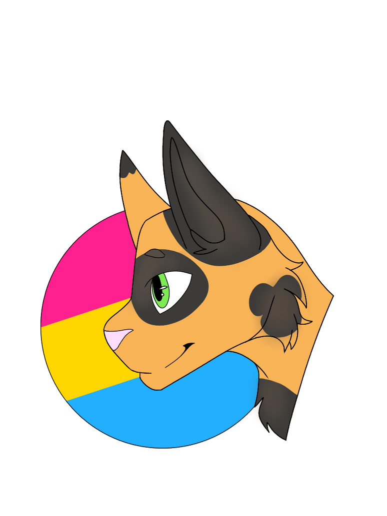 Pan Cat by Red10161 on DeviantArt