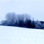 Winter Panorama