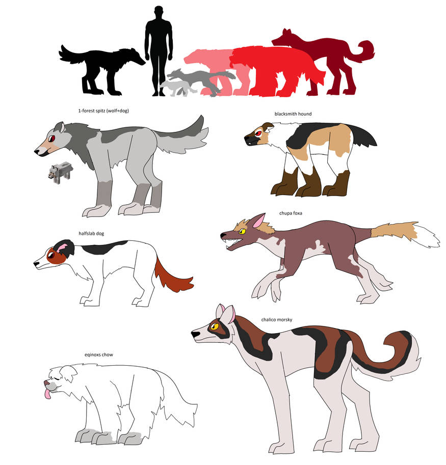 Minecraft Dog Color Dog Colors In Minecraft