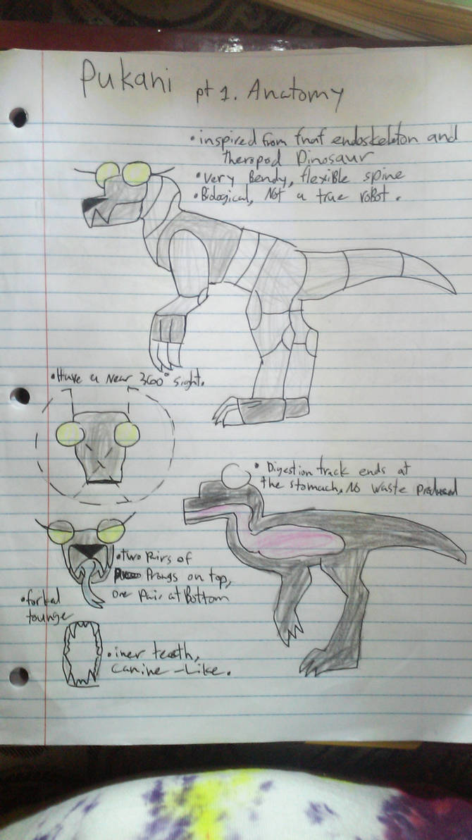 Pukani guide pt 1-basic anatomy by littleloomex on DeviantArt