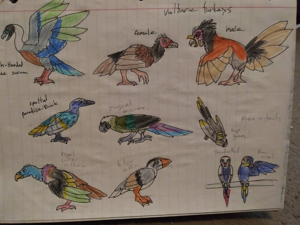 feather family bird creations by littleloomex on DeviantArt