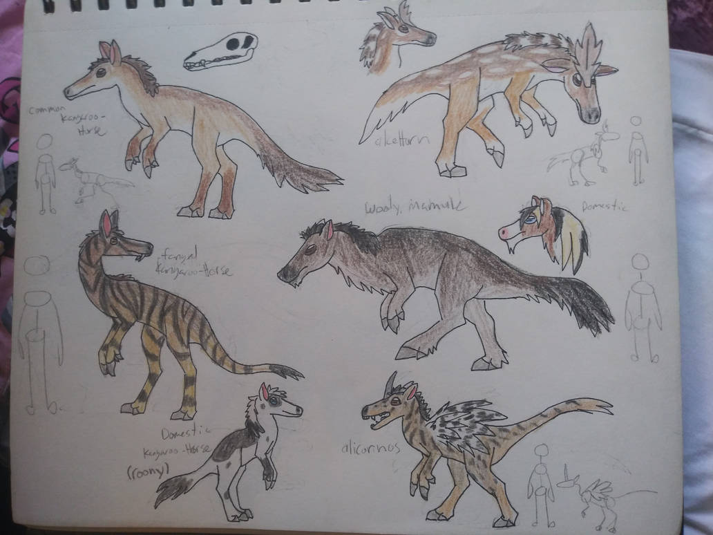 kangaroo horses, rebooted by littleloomex on DeviantArt