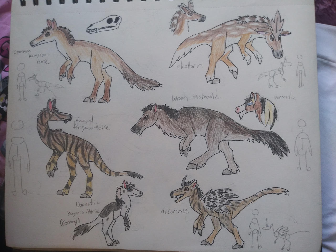 kangaroo horses, rebooted by littleloomex on DeviantArt