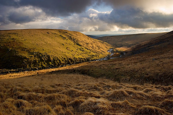 Late Sun Over Tavy Cleave