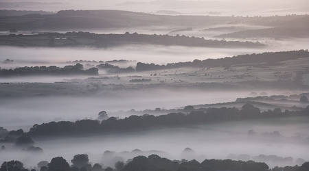 Mist by moonlight