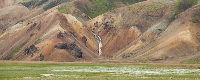 Rhyolite Meadow