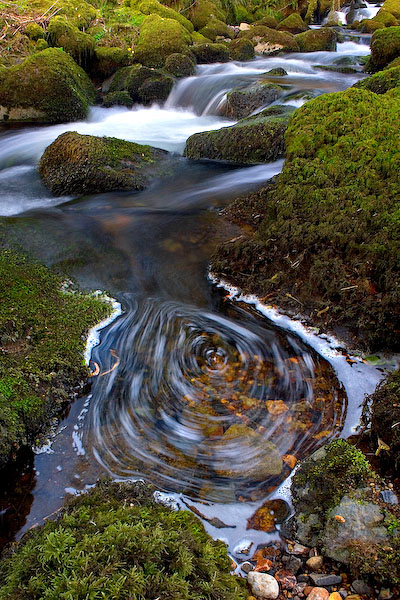 Whirlpool