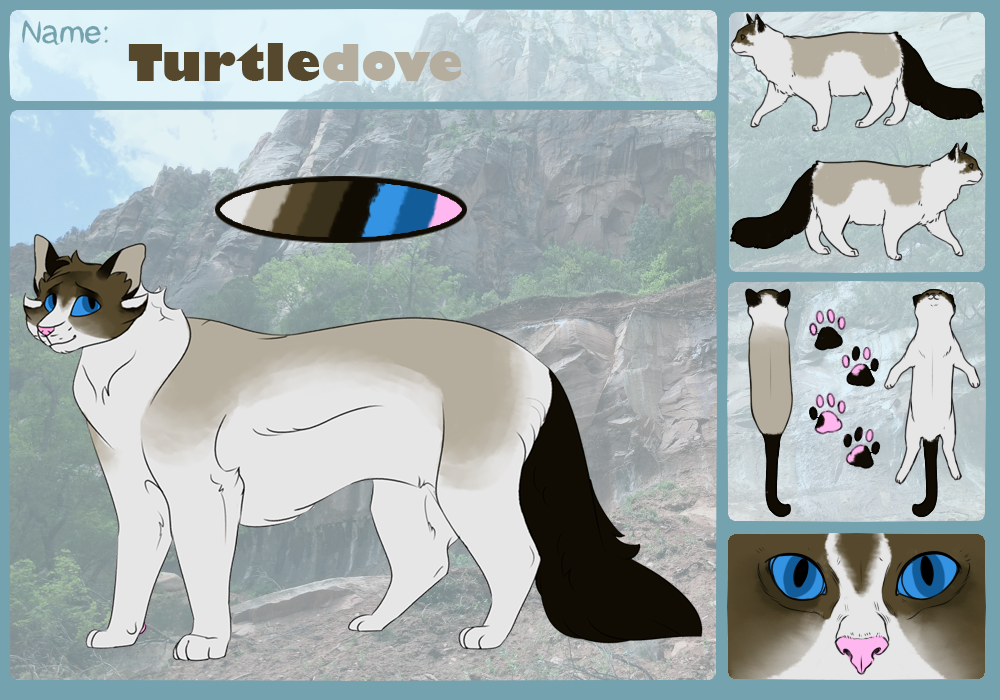 Turtledove - TWG by DrowsyInsomnia
