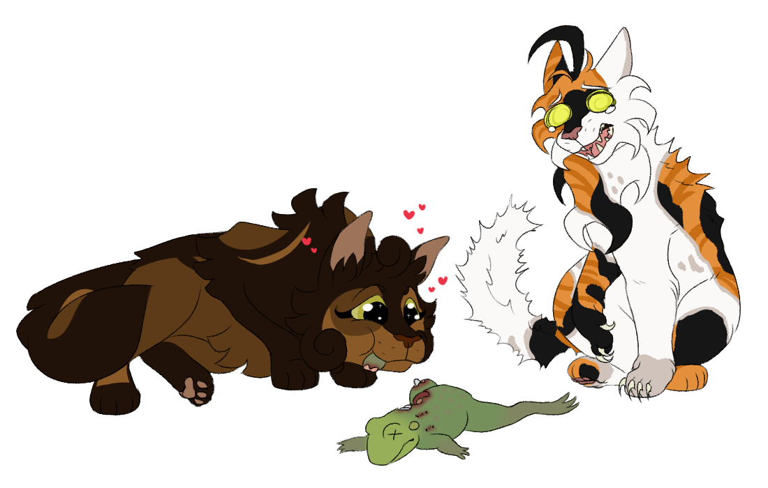Shellbee Matis Shellbee's New Favorite - DOW by DrowsyInsomnia on DeviantArt