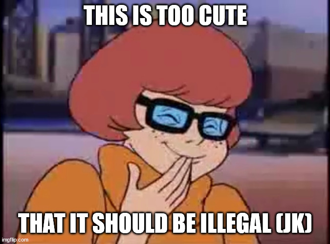 Scooby-Doo!, Sarcastic Velma