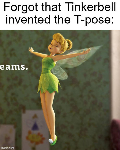 The T-pose - Imgflip