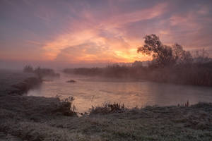 . . . by Alexey-Argentum . . . by Alexey-Argentum