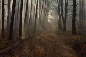 . . . by Alexey-Argentum . . . by Alexey-Argentum