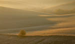 . . . by Alexey-Argentum