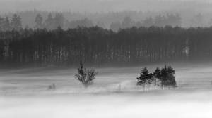 . . . by Alexey-Argentum . . . by Alexey-Argentum