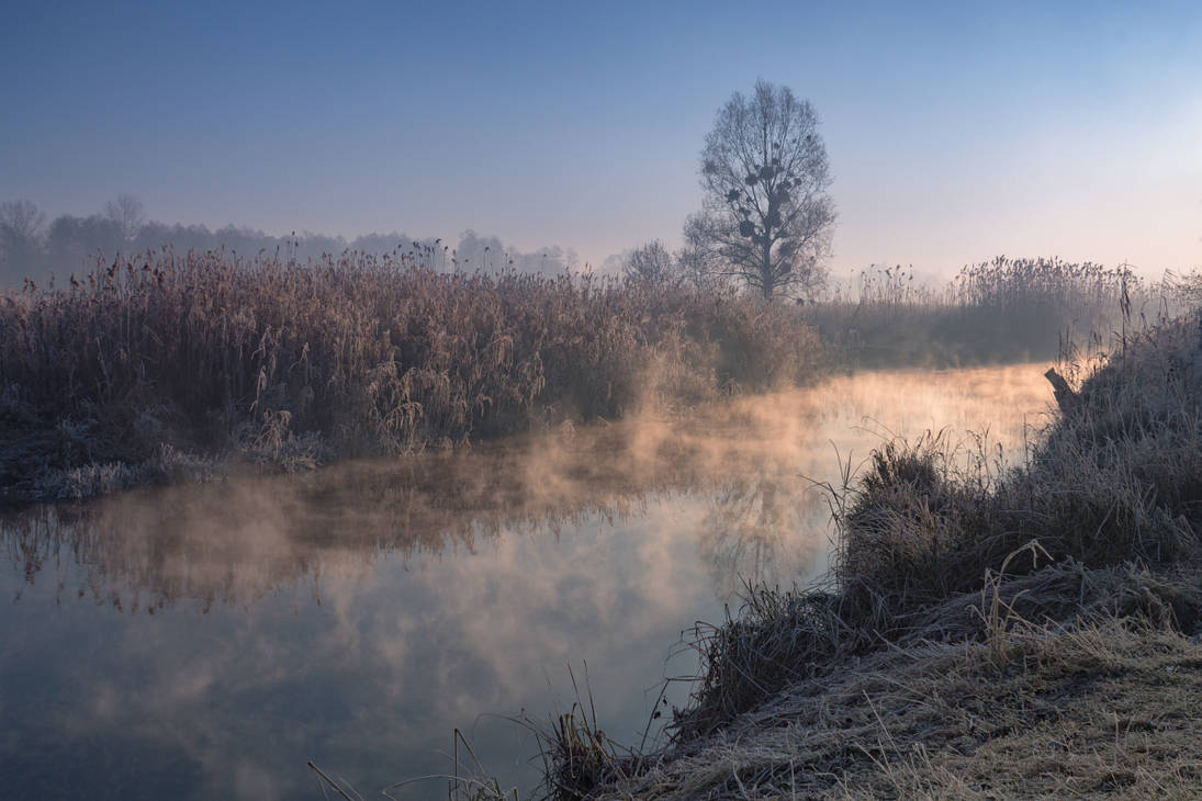 . . . by Alexey-Argentum . . . by Alexey-Argentum