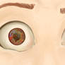 MCoG: Esteban's eyes