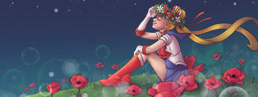 Sailor Moon Poland Facebook banner