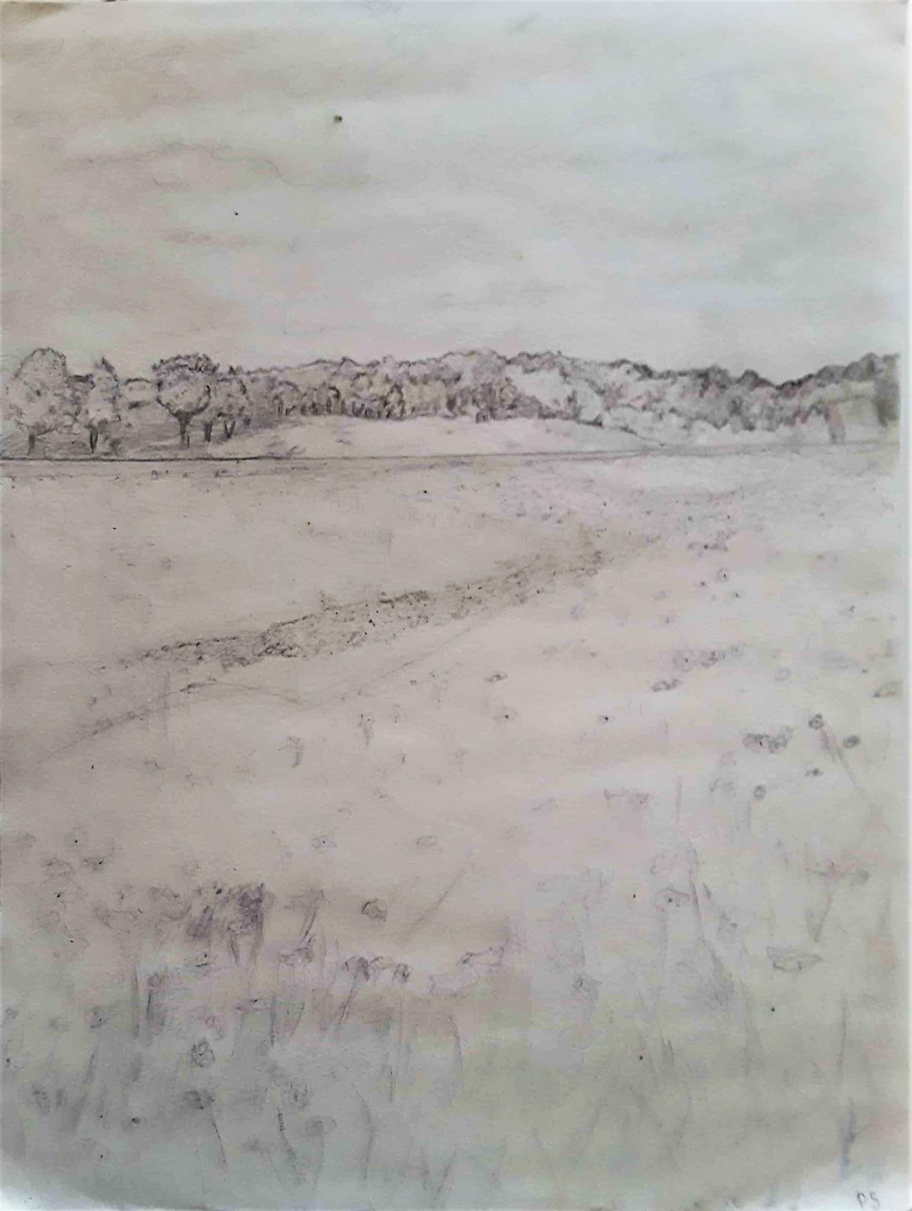 Praires Drawing Prairie by TempleOfTheMoonDog on DeviantArt