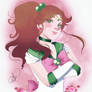 Sailor Jupiter Fanart