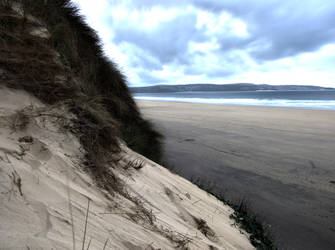 In the Dunes