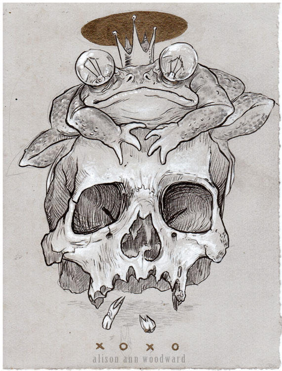 Toad Scull Toad Skull by addisonwoolworth on DeviantArt