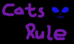 Cats Rule