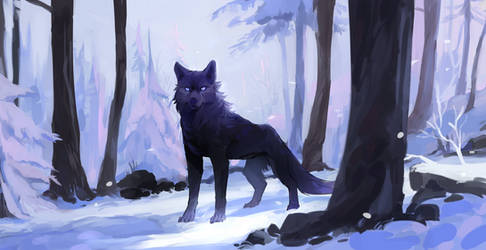 black wolf