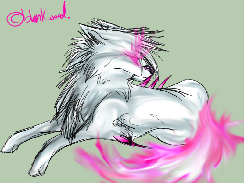 albino fel wolf