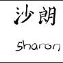 Sharon in Chinese calligraphy