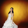 bride weddind dress stock 13