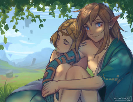 Link and Zelda