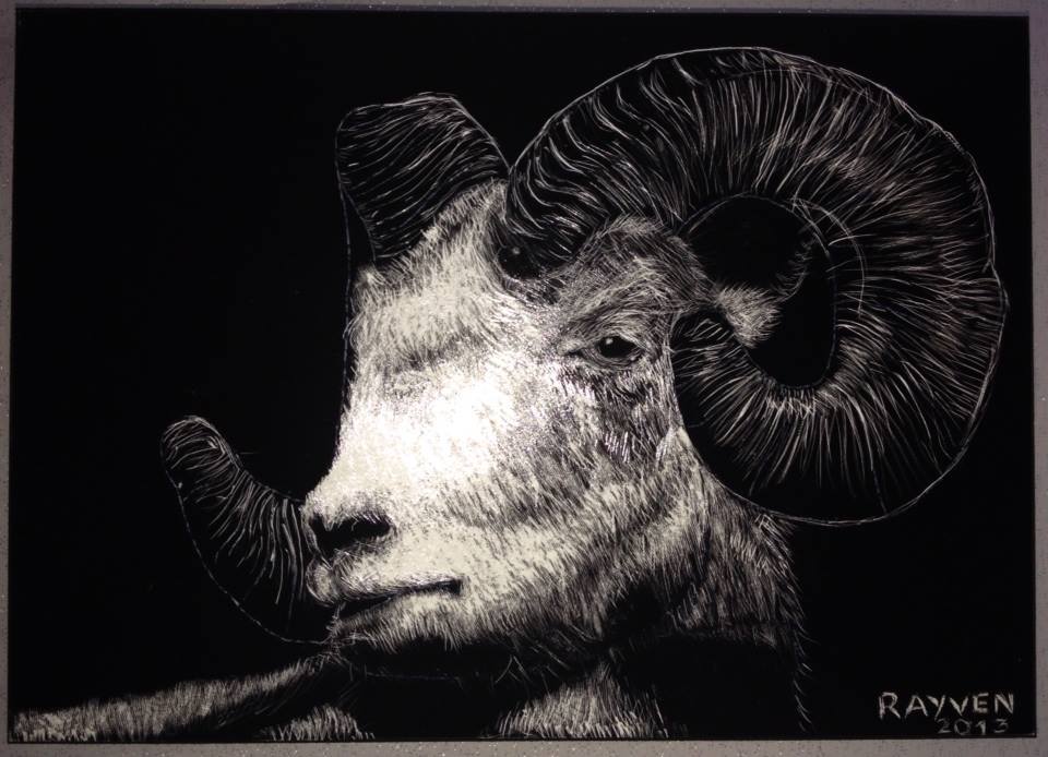 Ram Scratchboard