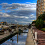 Tampa from Harbour Island