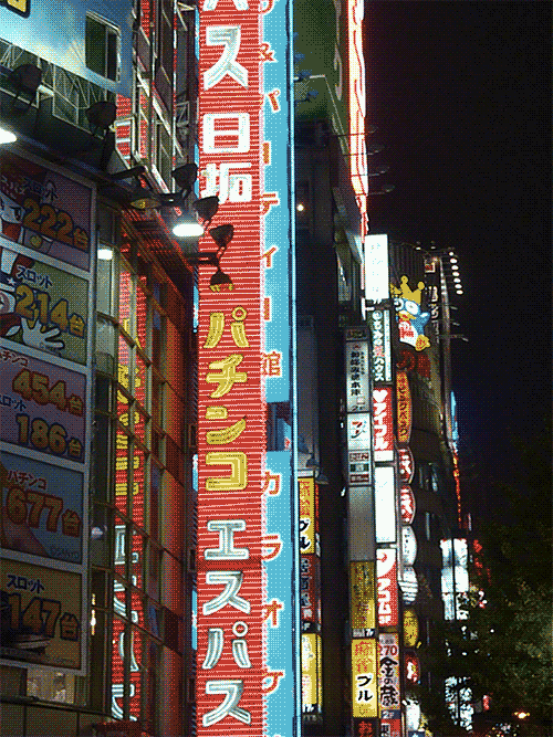 2-11-2013--Shinjuku-2