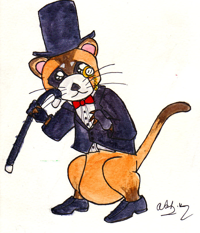 The Fancy Ferret by sonicherosfan on DeviantArt