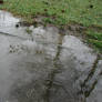 puddle1