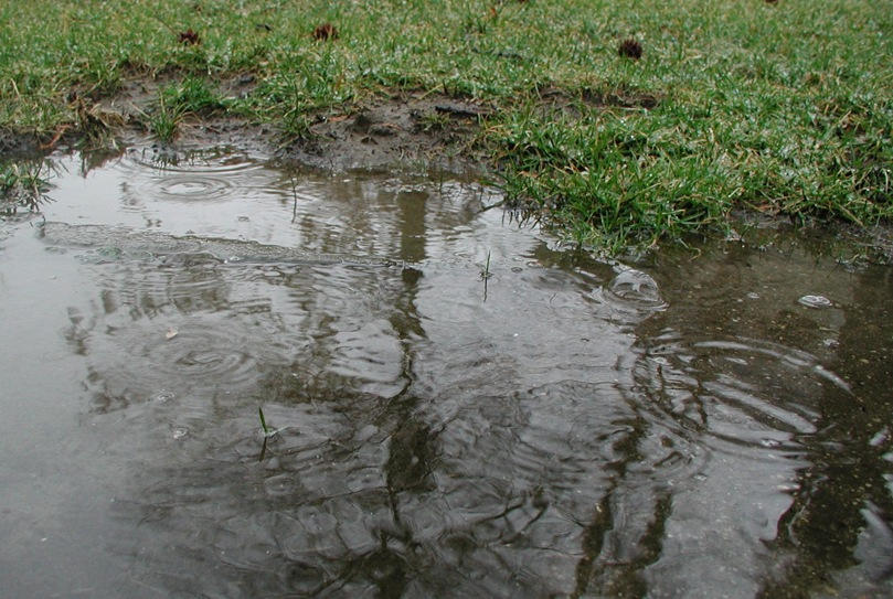 Puddle Normal puddle2 by ohnostock on DeviantArt
