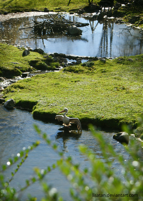 Zoo Salzburg